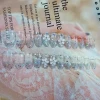24 pieces of Artificial fingernails Long round head transparent glitter floret wear manicure fake nail tip