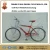 Import 26&quot; steel economic attractive MTB single speed bicycle with high performance cost ratio(FP-MTB16003) from China