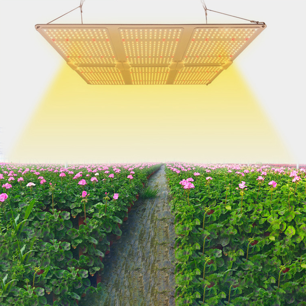 Buy 2975umol/s Full Spectrum High Ppfd 600w Dimmable Led Grow Light For ...