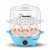 Import 304 Heating Plate with PP Steaming Tray Egg Cooker Reading Eggs from China