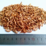500g Per Bag Natural Flavor Wholesale Turtle Bird Lizard Food Dry Gammarus Pet Food