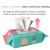 Import 80pcs New face cleansing wipes female feminine care cleaning cotton tissue makeup remover wet wipes from China