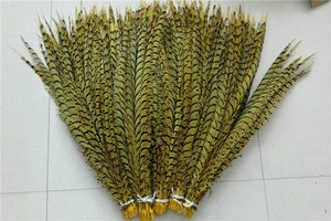 90-100cm Carnival Feathers Dyed Lady Zebra plumas de faisan