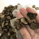 9016 Song lu healthy wild mushroom truffle for sale