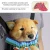 Import Adjustable Pet Carrier Backpack Front Cat Dog Carrier Backpack Travel Bag from China