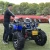 Import Adult Off-Road Motorcycle All-Terrain Vehicle Shockproof 200CC ATV from China