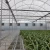 Import Affordable and High Quality Multi-span Film Greenhouse for Sale from China