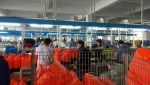 Agricultural plastic knapsack sprayers 16 liter hand backpack sprayer cheap price supplier
