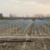 Agriculture plastic tunnel greenhouse