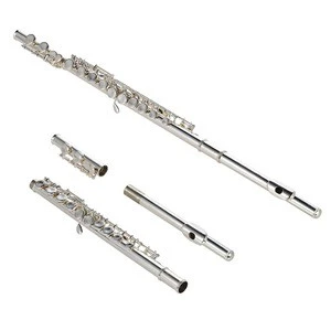 ammoon High Quality Flute Cupronickel Silver Plated 16 Closed Holes C Key with Case Screwdriver Wind Instruments I1755