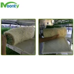 Animal Feed Forage Tray