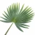 Import Artificial plastic glued green leaf arrangement artificial palm tree leaves palm leaves artificial from China