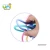 Import Baby Toys Educational, Baby Teether Ball from China