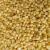 Import Best price  frozen sweet corn from China