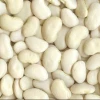 Best price Lima Beans,Lima Beans