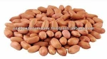 Best Quality Peanuts