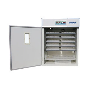 Biobase New Product Automatic Chicken Egg Incubator Price Hot for Sale