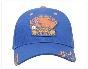 Black market online China OEM custom sports cap long brim sports baseball cap with 3D embroidery
