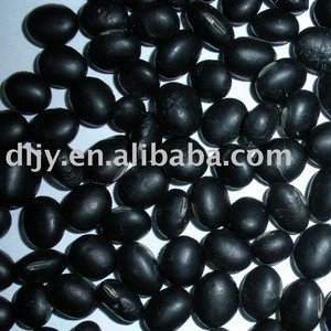 Black Soya Bean