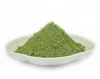 Bulk Supply Dried Vegetable Broccoli Sprout Powder