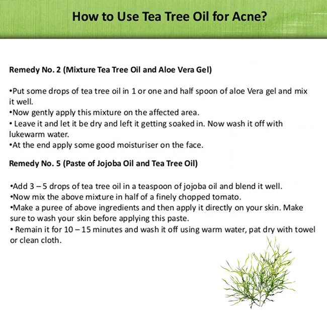 Bulk supply pure tea tree oil essential 100% nature for hair conditioner