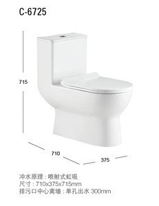 C6725 New Design Dual Flushing Siphon Sanitary Ware Suite One Piece Toilet And Bidet