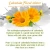 Import Calendula Hydrosol 100% Pure And Natural from India