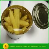 Canned baby corn whole in brine fresh canned vegetables