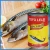 Import canned seafood mackerel from China