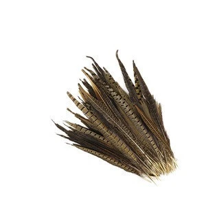 Carnival showgirl pheasant feather backpack