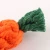 Import Carrot pet toy Cotton rope knot bite resistant dog toy Braided rope dog toy from China