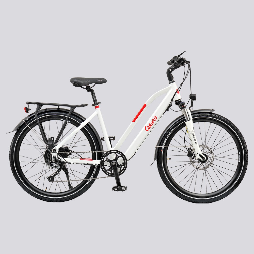 CE 26inch 36V250W, Rear Driving Brushless Motor with Easy Release Connection Bafang Ebike