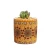 Import Ceramic flower pot garden planters for indoor decoration from China
