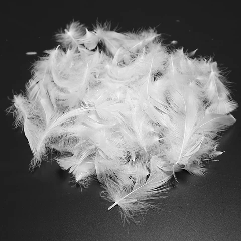Cheap Price Filling Material Washed White Duck Down Feather   2-8 cm  Nature Pure White Duck Feather From Vietnam