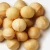 Import cheap price Macadamia nut in shell, macadamia nut kernel from Canada