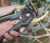 Import China Cheap  Flower Arrangement Harvest Pruner Trimming Scissors from China