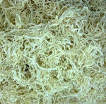 China Factory A Grade Fresh Bulk Food Dehydrated Diced Radish