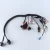 Import China Manufacturer Custom Electrical Automotive Wire Harness from China