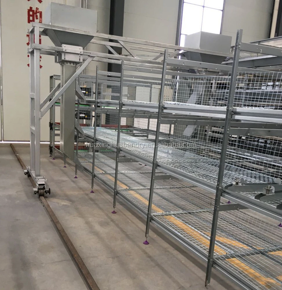 china new design best selling quail layer cage design