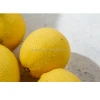 China Yellow Lemon With Farm Price High Quality Fresh Eureka Lemon