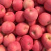 Chinese Fuji apple price on sale apple fruit fresh fuji for export