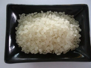 Chinese high quality short grain rice brands bulk white round rice for sushi products