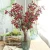 Import Christmas red bean branch berry artificial flower manufacturer home decoration from China