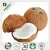 Import Coconut powder for health drink from China