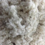 comber noil/ Lickerin/100% cotton waste