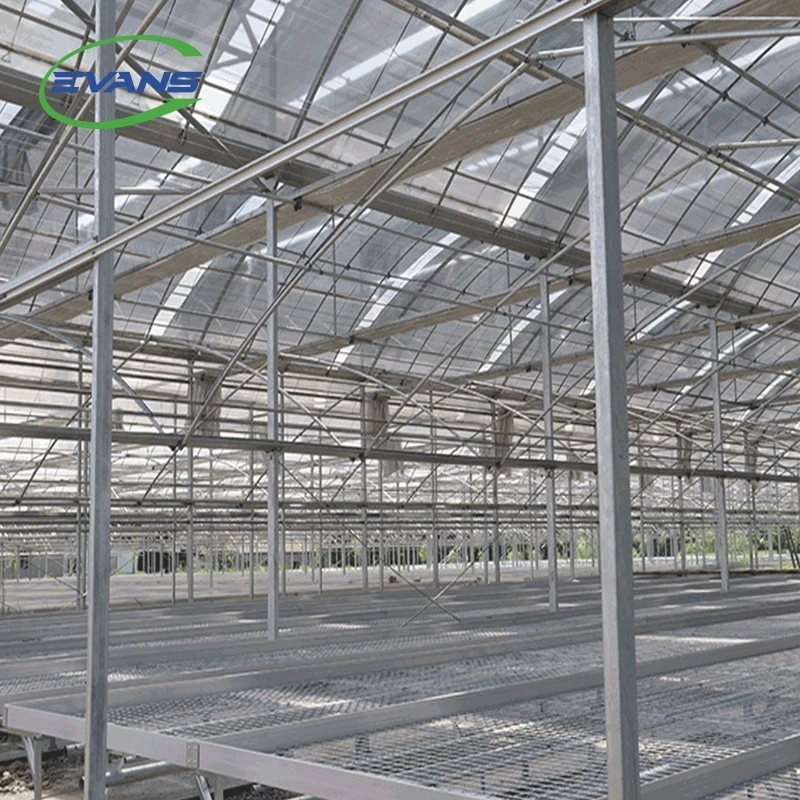 Commercial Galvanized Steel Truss Greenhouse Poly Film Greenhouse