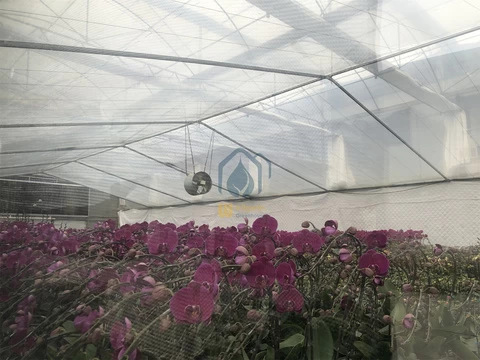 Commercial Multi Span film Greenhouse with UV Plastic Film