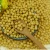 Import crop Chinese High protein yellow soybean soya beans / soy bean for sale from China
