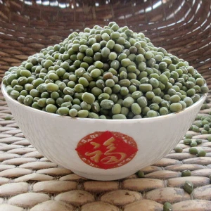 Current year unpolished mung bean with different size