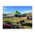 Import Custom Printing 3x3 Aluminum Canopy Tent Gazebo Folding Tents with 600D Oxford Fabric Canopy from China
